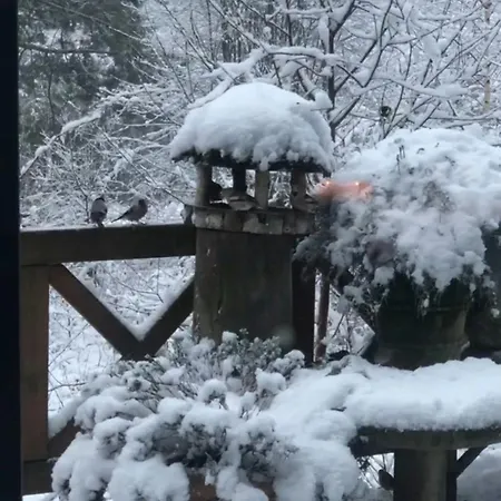 Semesterbostad Step Through The Gate And Feel Peace In The Woods *