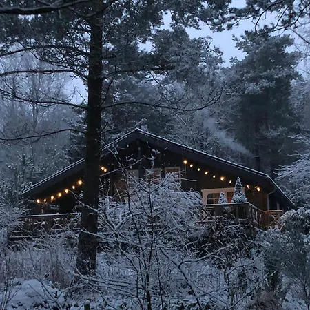 Step Through The Gate And Feel Peace In The Woods *